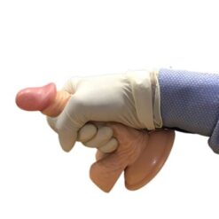 Dương vật giả gắn tường (2)