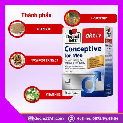 Thành phần Conceptive For Men và cơ chế tác động tinh trùng