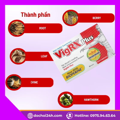 Thành phần có trong viên uống VigRx Plus và đặc điểm nổi bật