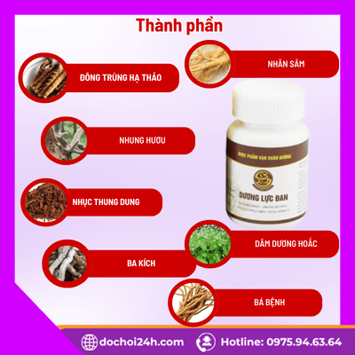 Thành phần thảo dược trong viên uống Dương Lực Đan 