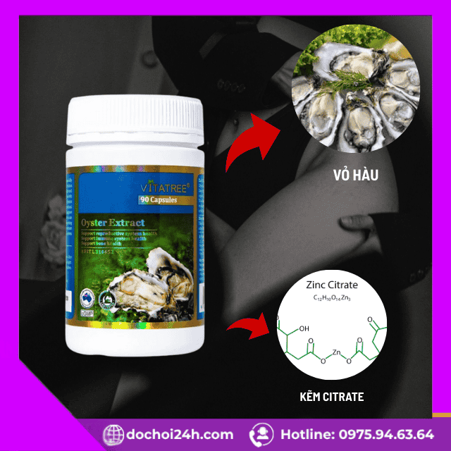 Thành phần và cơ chế hoạt động của Oyster Extract Vitatree