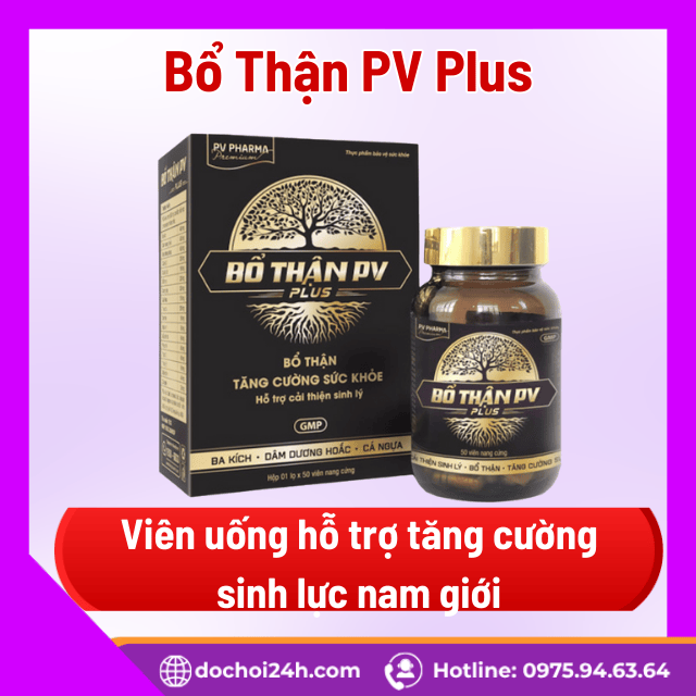 Tổng quan về sản phẩm Bổ Thận PV Plus là gì?