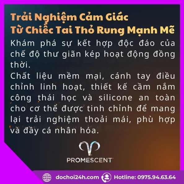 Đánh giá từ người dùng