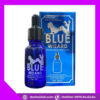 Blue Wizard avt